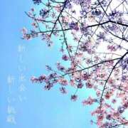 ヒメ日記 2026/04/02 15:51 投稿 すい 至福の密着エステ&禁断のM性感 Luxeaz