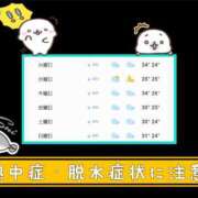 ヒメ日記 2026/07/14 13:45 投稿 すい 至福の密着エステ&禁断のM性感 Luxeaz