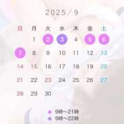 ヒメ日記 2025/08/29 21:42 投稿 りん プレミアム(福原)