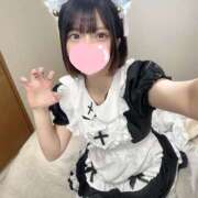 ヒメ日記 2025/02/05 16:31 投稿 えな ナイトヴィーナス