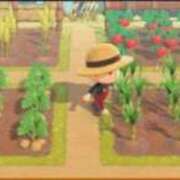 ヒメ日記 2025/03/24 17:48 投稿 柊　れい タッチVIP