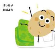 ヒメ日記 2025/04/25 07:18 投稿 柊　れい タッチVIP