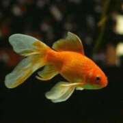 ヒメ日記 2025/05/13 13:18 投稿 柊　れい タッチVIP