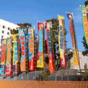 ヒメ日記 2025/05/23 06:33 投稿 柊　れい タッチVIP