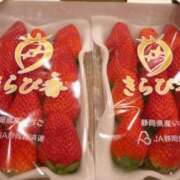 ヒメ日記 2026/01/09 07:18 投稿 柊　れい タッチVIP