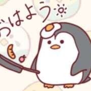 ヒメ日記 2026/01/23 08:33 投稿 柊　れい タッチVIP