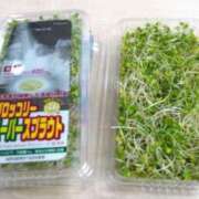 ヒメ日記 2026/03/03 18:12 投稿 柊　れい タッチVIP