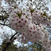 ヒメ日記 2026/05/05 07:18 投稿 柊　れい タッチVIP