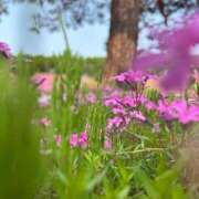 ヒメ日記 2025/06/29 20:13 投稿 永瀬　遥 タッチVIP