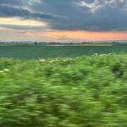 ヒメ日記 2025/07/01 19:37 投稿 永瀬　遥 タッチVIP