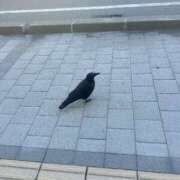 ヒメ日記 2025/08/11 08:45 投稿 永瀬　遥 タッチVIP