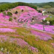 ヒメ日記 2025/09/20 08:54 投稿 永瀬　遥 タッチVIP