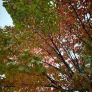 ヒメ日記 2025/10/18 09:03 投稿 永瀬　遥 タッチVIP