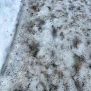 ヒメ日記 2025/12/20 08:48 投稿 永瀬　遥 タッチVIP