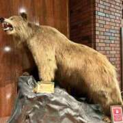 ヒメ日記 2026/01/11 20:33 投稿 永瀬　遥 タッチVIP