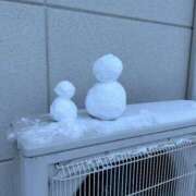 ヒメ日記 2026/01/24 11:03 投稿 永瀬　遥 タッチVIP