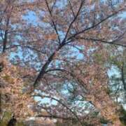 ヒメ日記 2025/05/10 07:27 投稿 舞原　海乃 タッチVIP