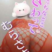 ヒメ日記 2024/12/20 21:00 投稿 むらさき モアグループ宇都宮人妻花壇