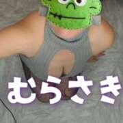 ヒメ日記 2025/11/03 13:17 投稿 むらさき モアグループ宇都宮人妻花壇