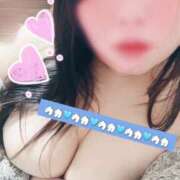 ヒメ日記 2026/02/16 15:55 投稿 うか ちゃんこ大阪伊丹空港豊中店