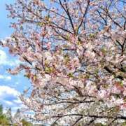 ヒメ日記 2025/04/13 19:43 投稿 生田 結衣 絢(あや)