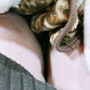 ヒメ日記 2025/01/29 18:22 投稿 くみ 蒼いうさぎ