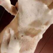 ヒメ日記 2025/03/04 12:04 投稿 まりあ Club Paradise（クラブパラダイス）