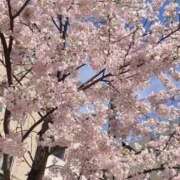 ヒメ日記 2025/03/29 17:43 投稿 まりあ Club Paradise（クラブパラダイス）