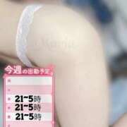 ヒメ日記 2025/12/02 16:43 投稿 まりあ Club Paradise（クラブパラダイス）