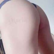 ヒメ日記 2026/02/02 20:03 投稿 まりあ Club Paradise（クラブパラダイス）