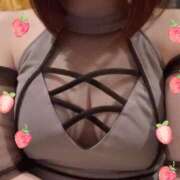 ヒメ日記 2025/02/16 22:52 投稿 すずか パイの巣