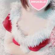 ヒメ日記 2025/12/07 23:26 投稿 すずか パイの巣