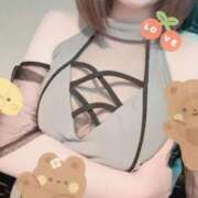 ヒメ日記 2026/04/30 00:13 投稿 すずか パイの巣