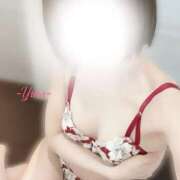 ヒメ日記 2025/12/09 09:50 投稿 ゆら ミセス クリエーション