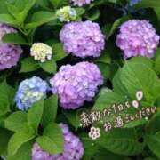 ヒメ日記 2025/06/11 08:15 投稿 さおり 奥様の実話 梅田店