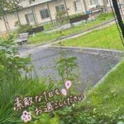 ヒメ日記 2025/09/15 12:44 投稿 さおり 奥様の実話 梅田店