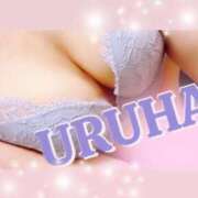 ヒメ日記 2025/01/09 17:56 投稿 うるは 変態なんでも鑑定団