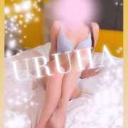 ヒメ日記 2025/01/27 00:36 投稿 うるは 変態なんでも鑑定団