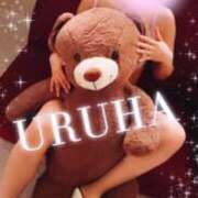 ヒメ日記 2025/02/01 12:46 投稿 うるは 変態なんでも鑑定団