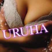 ヒメ日記 2025/02/01 21:36 投稿 うるは 変態なんでも鑑定団