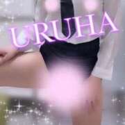 ヒメ日記 2025/02/06 10:13 投稿 うるは 変態なんでも鑑定団