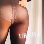 ヒメ日記 2025/02/12 20:56 投稿 うるは 変態なんでも鑑定団