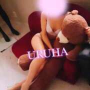 ヒメ日記 2025/02/14 18:16 投稿 うるは 変態なんでも鑑定団