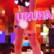 ヒメ日記 2025/04/24 19:26 投稿 うるは 変態なんでも鑑定団