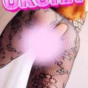 ヒメ日記 2025/05/20 19:47 投稿 うるは 変態なんでも鑑定団