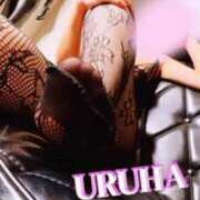 ヒメ日記 2025/05/26 15:56 投稿 うるは 変態なんでも鑑定団