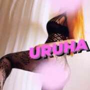 ヒメ日記 2025/05/26 21:06 投稿 うるは 変態なんでも鑑定団