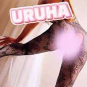 ヒメ日記 2025/05/28 20:16 投稿 うるは 変態なんでも鑑定団