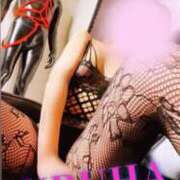 ヒメ日記 2025/05/29 13:49 投稿 うるは 変態なんでも鑑定団