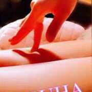 ヒメ日記 2025/05/29 18:46 投稿 うるは 変態なんでも鑑定団